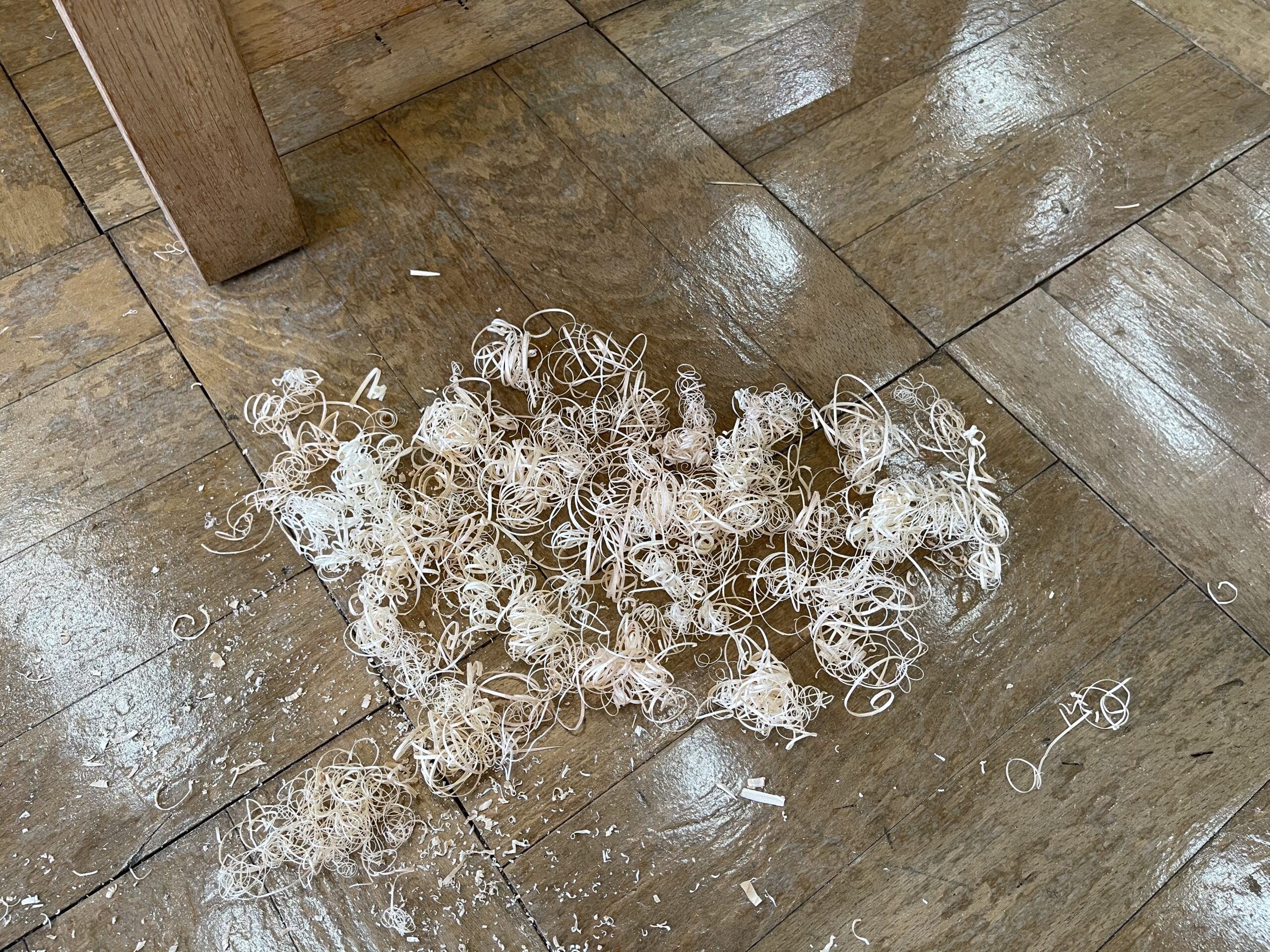 薄いひも状の輪になったかんなくず