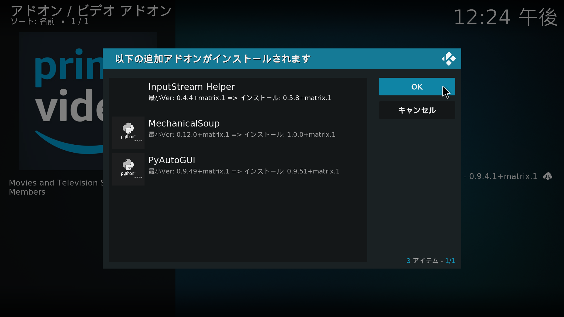 (3)-6 追加アドオンのインストールをクリック