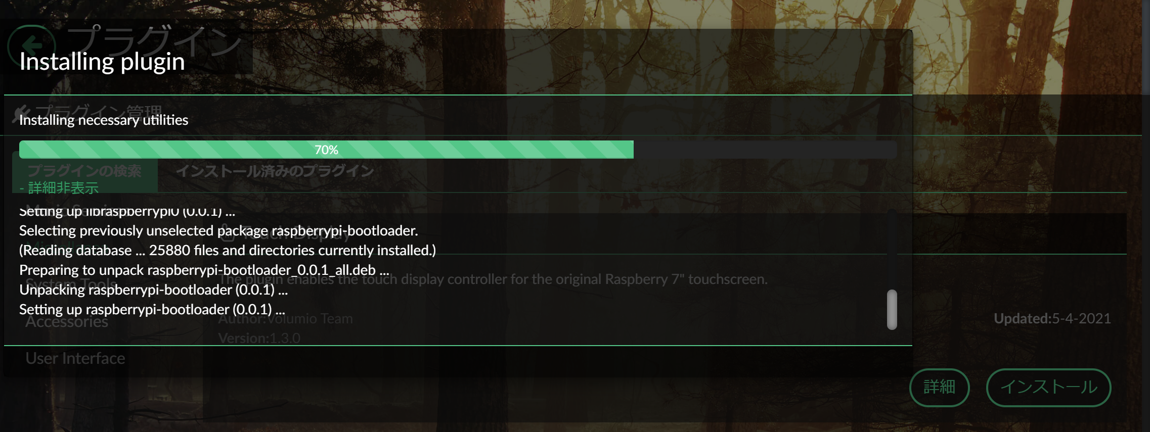 完了まで待ちます。「+詳細表示」をクリックして展開すると進捗状況が見れます