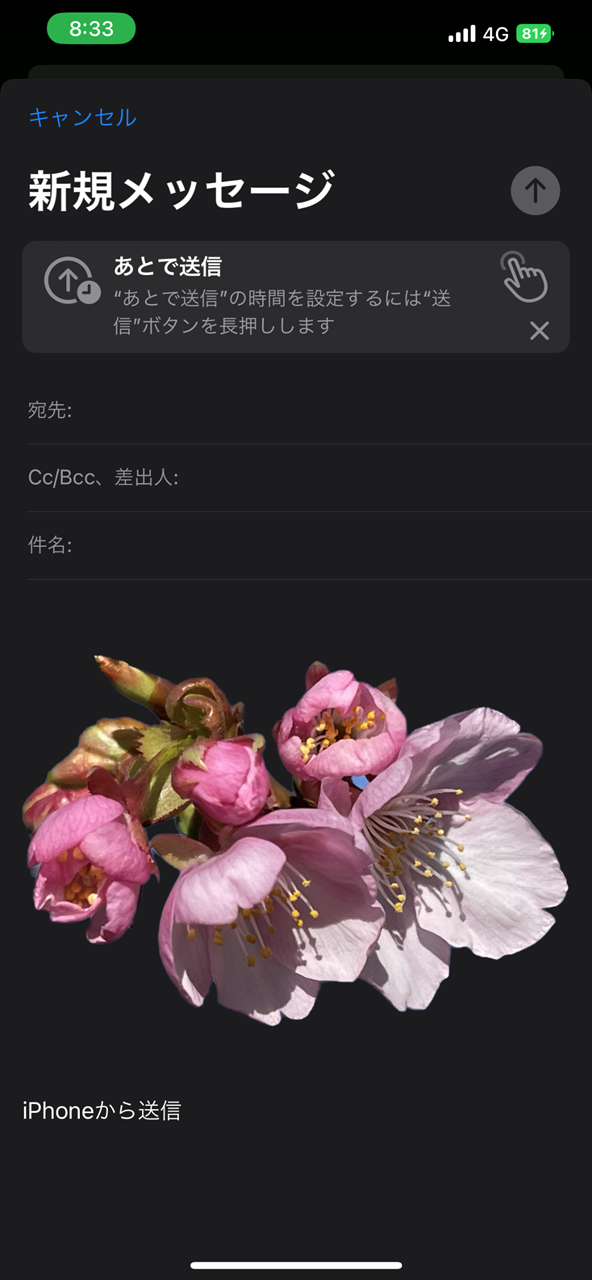 iOS16の新機能:背景からの対象物の抜き出し