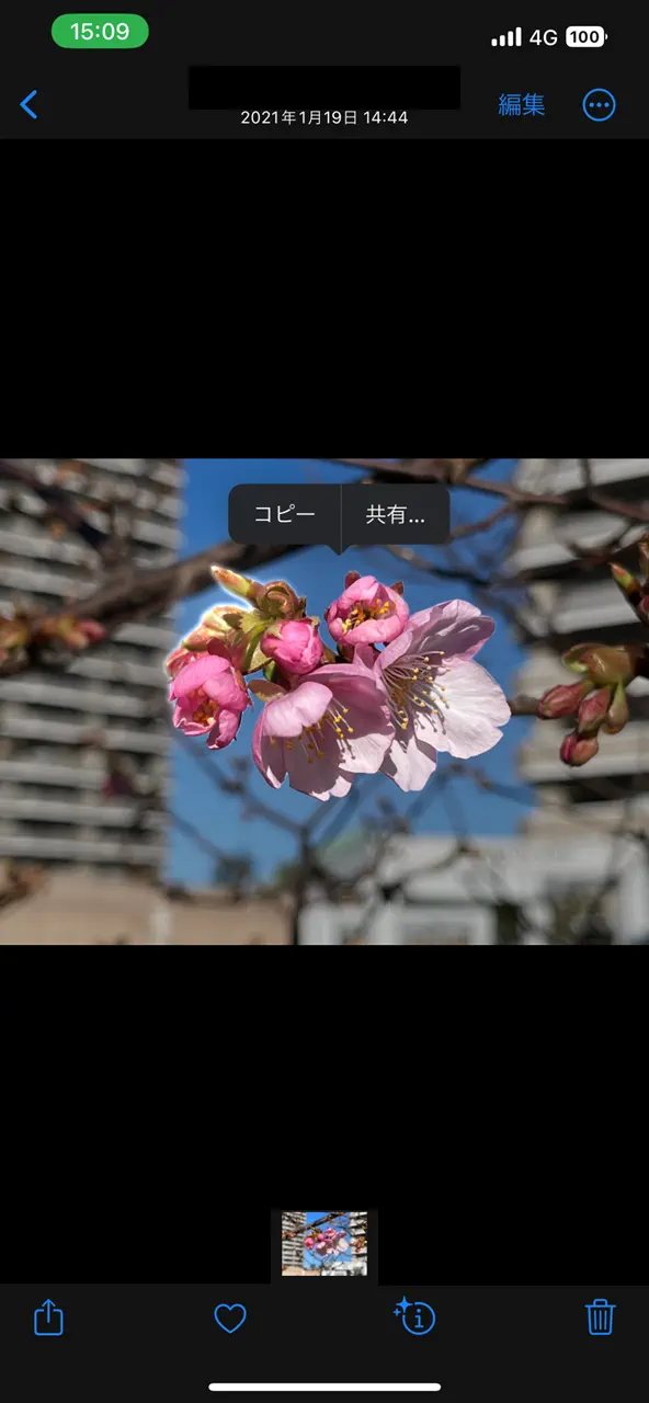 iOS16の新機能:背景からの対象物の抜き出し